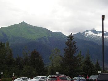 Green and Growing & Snow together