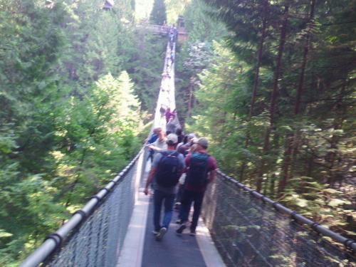 Capilano Bridge Span
