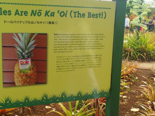 Dole Plantation