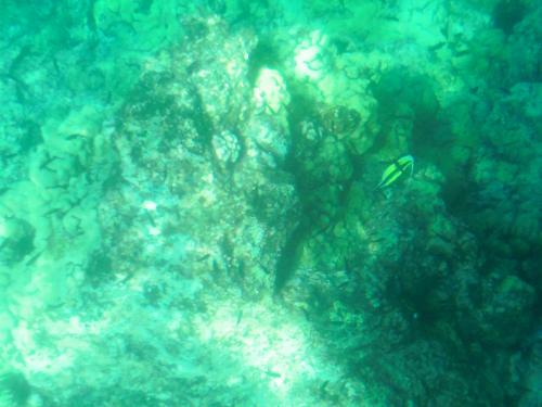 From Glass Bottom