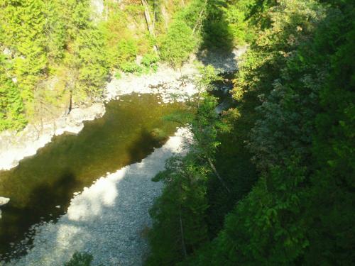Gorge @ Capilano Bridge