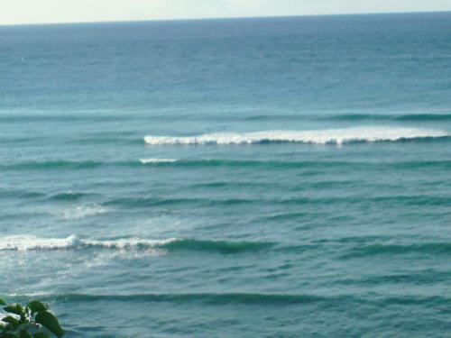 Look for the Surfer