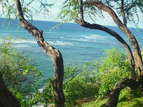 North Shore