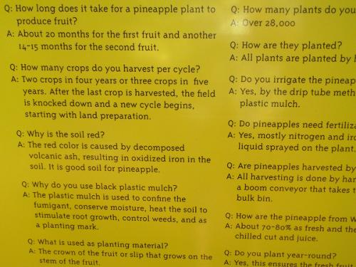 Pinapple Facts