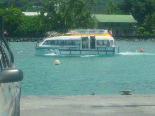 The 1st Tenders