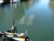 DSC07161_thumb.jpg